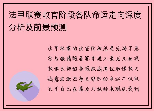 法甲联赛收官阶段各队命运走向深度分析及前景预测